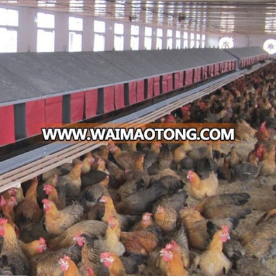 One-stop poultry farm design with high quality and competitive price