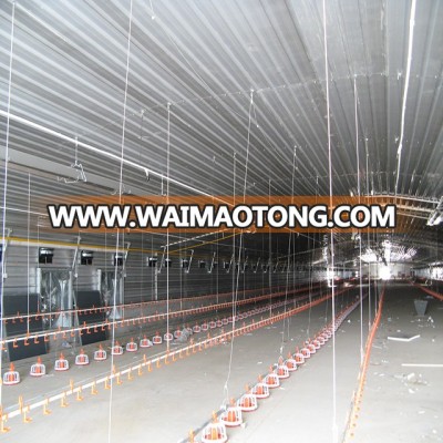 layer poultry shed design with automatic equipment system