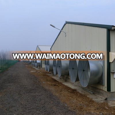 Modern poultry farm design with light steel structure frame