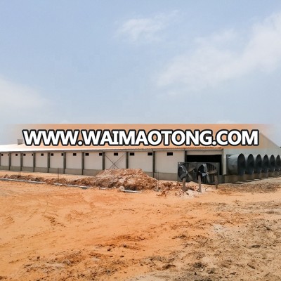 Hot sale steel structure broiler breeder chicken poultry breeding houses