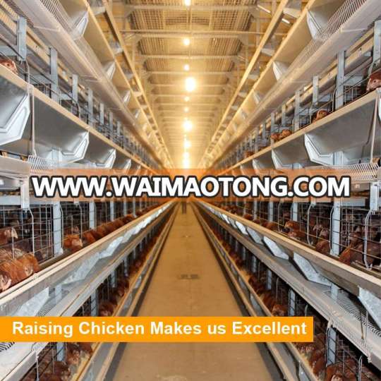 Tianrui Design Modern Chicken Cage Equipment Poultry Farm