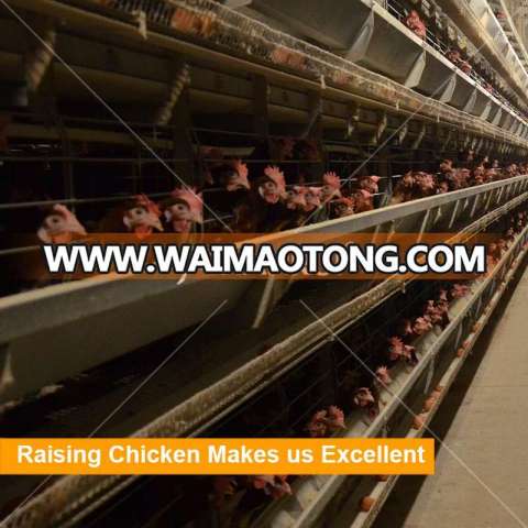 Poultry Chicken Farm Layer Cages Equipment for Sale In Sri Lanka/zimbabwe