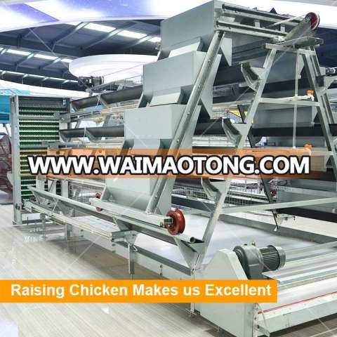 Philippines Algeria Cheap Automatic Animal Poultry Farm Equipment